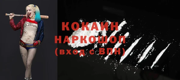 твердый Горняк