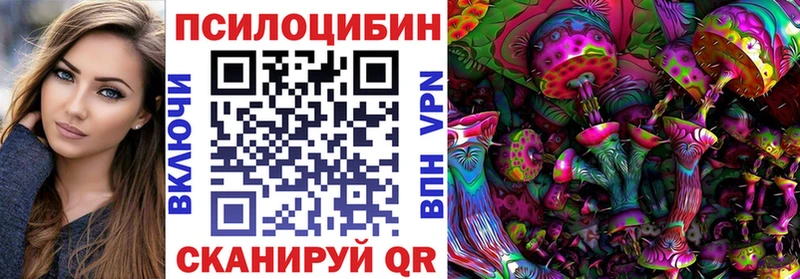 Галлюциногенные грибы Psilocybine cubensis  Саранск 